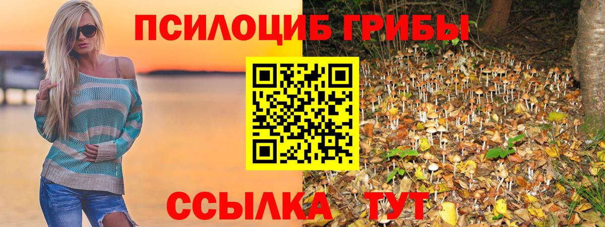 Галлюциногенные грибы Cubensis  Вход с VPN  Дюртюли 